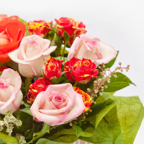 Assorted Rose