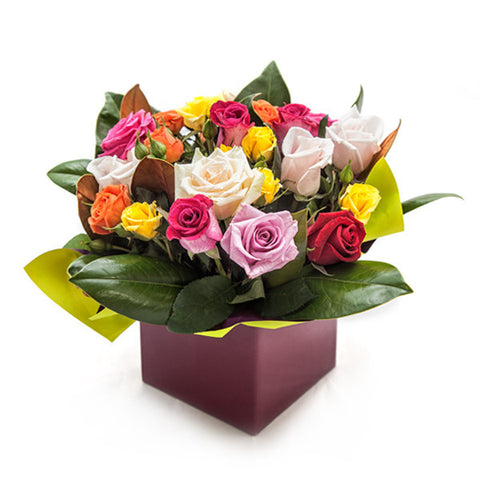Assorted Rose