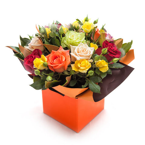 Assorted Rose