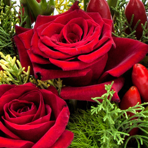 Kiss of Fire