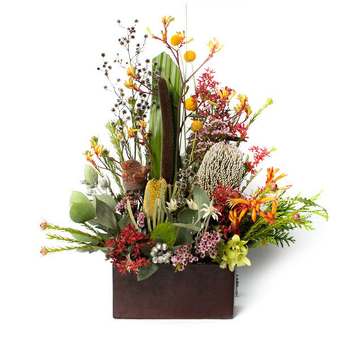 Modern Native Arrangement