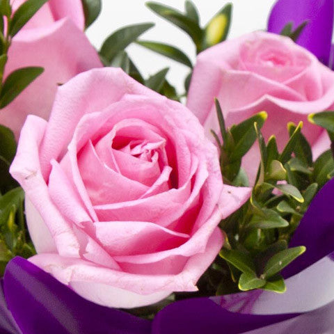 Rose Gift Bag
